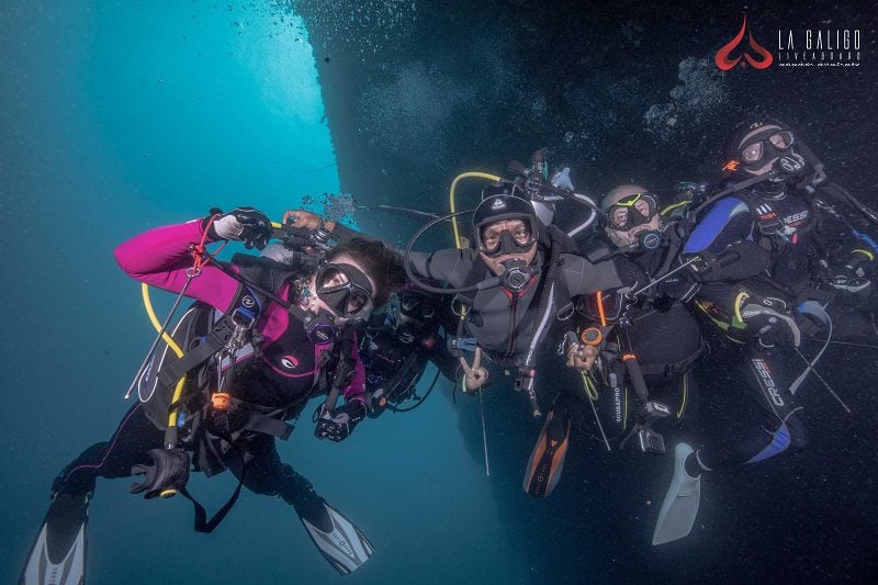 dive buddies