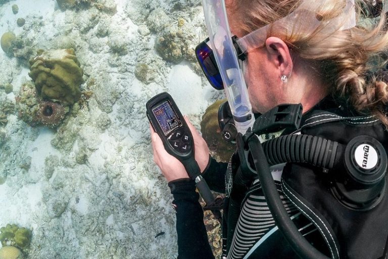 Scuba Diving Computers