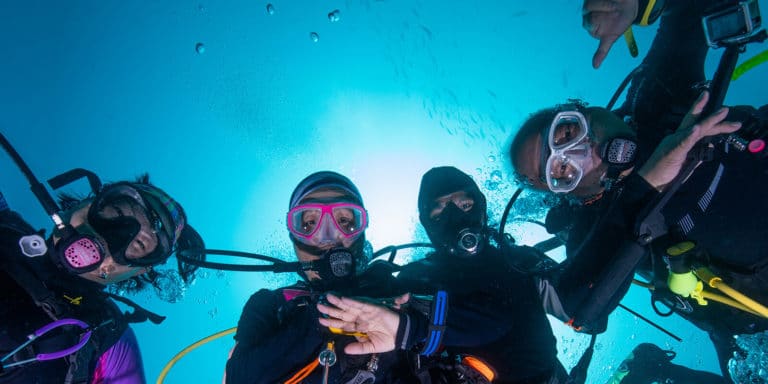 Top five things to do in Komodo 1 511A7302