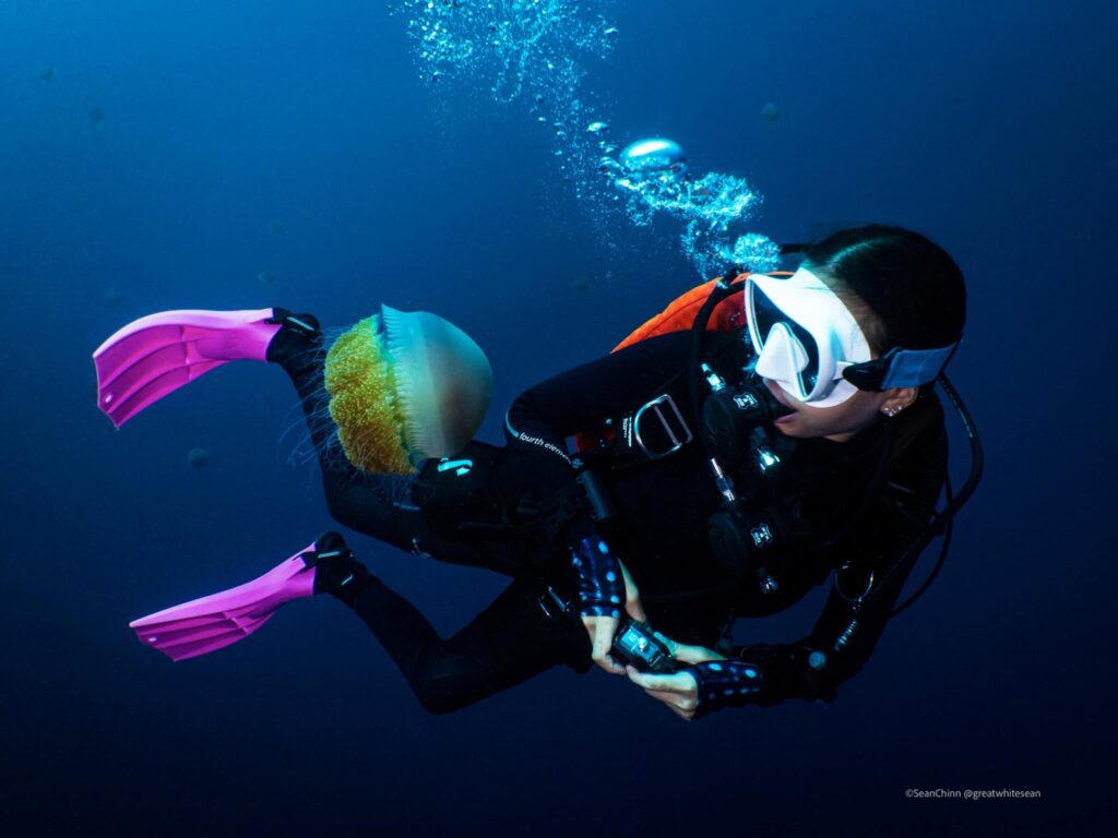 Scuba diving in indonesia