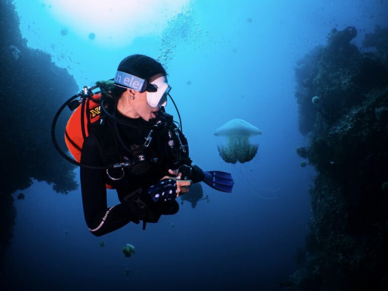 meet jelly fish in raja ampat