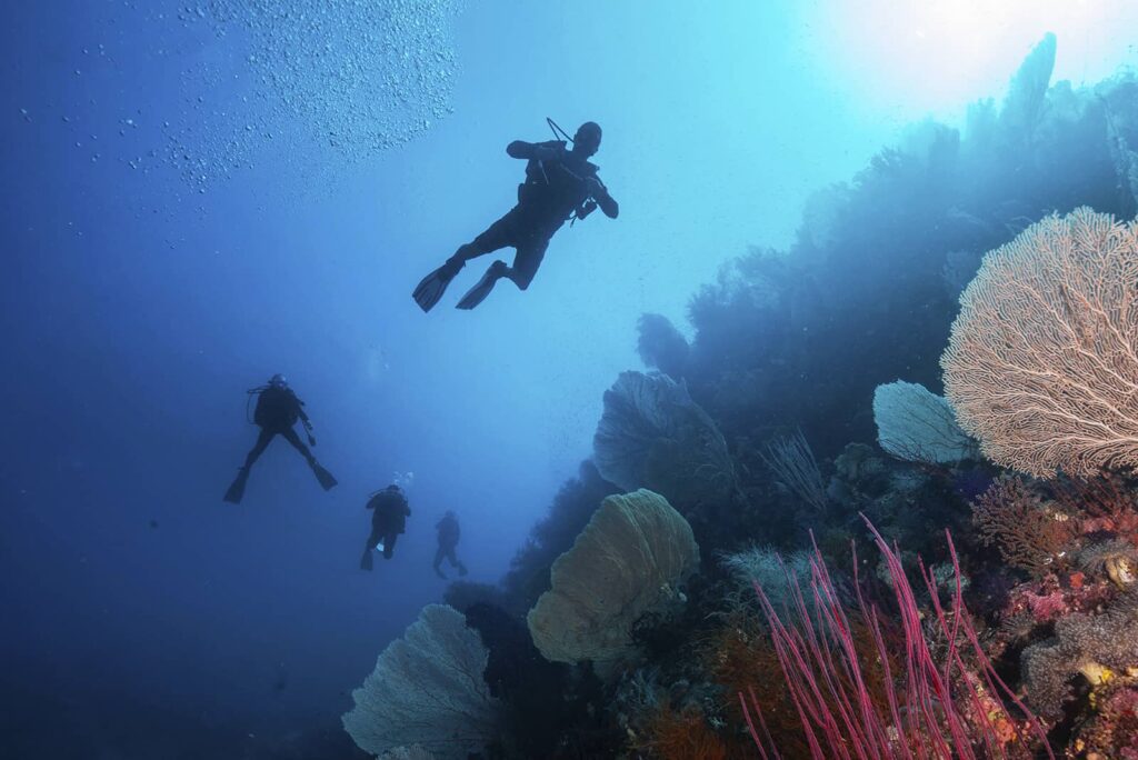 An Unforgettable Experience: Scuba Diving in Indonesia 3 scuba diving in indonesia