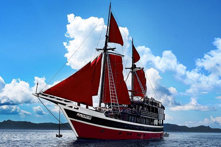 Liveaboard diving in Indonesia