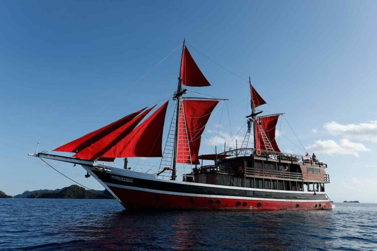 Raja Ampat Liveaboard vs Komodo Liveaboard: A Comprehensive Comparison 2 11A6480 compressed