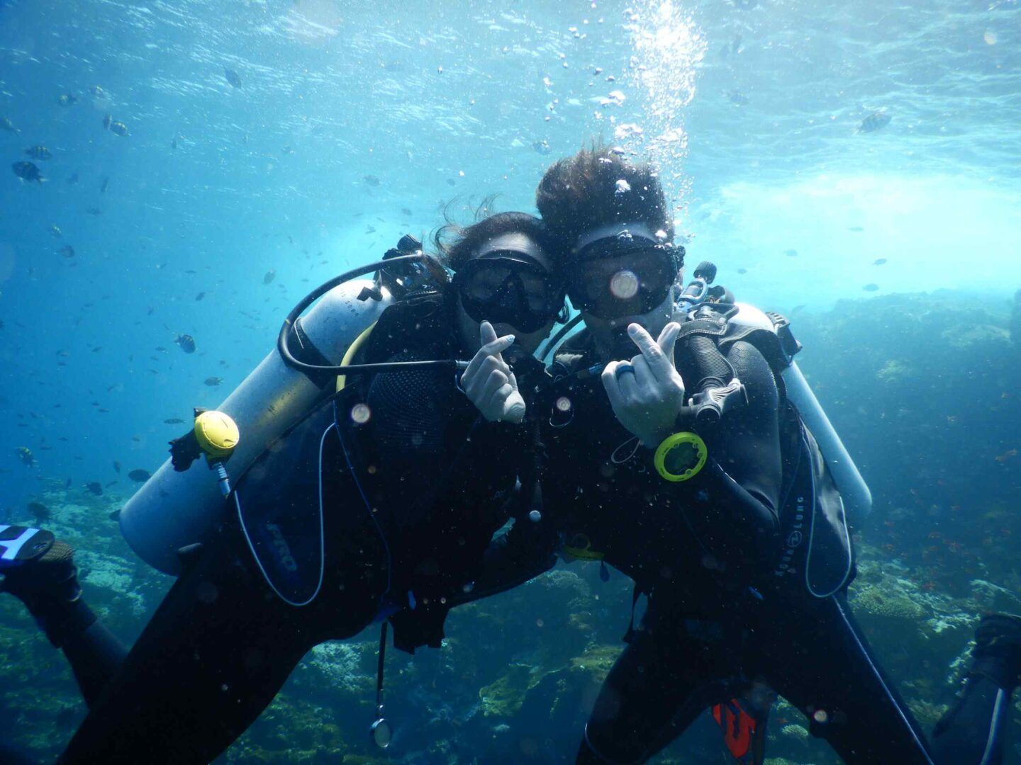 Liveaboard Diving Packing Checklist: What to Bring (and Not) 4 DSCN6459 scaled compressed