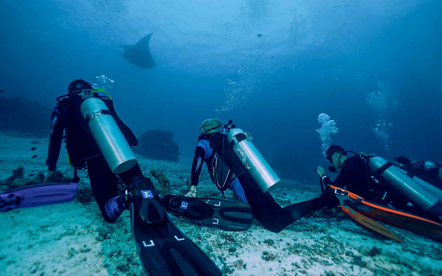 How do you breathe while scuba diving - La Galigo Liveaboard