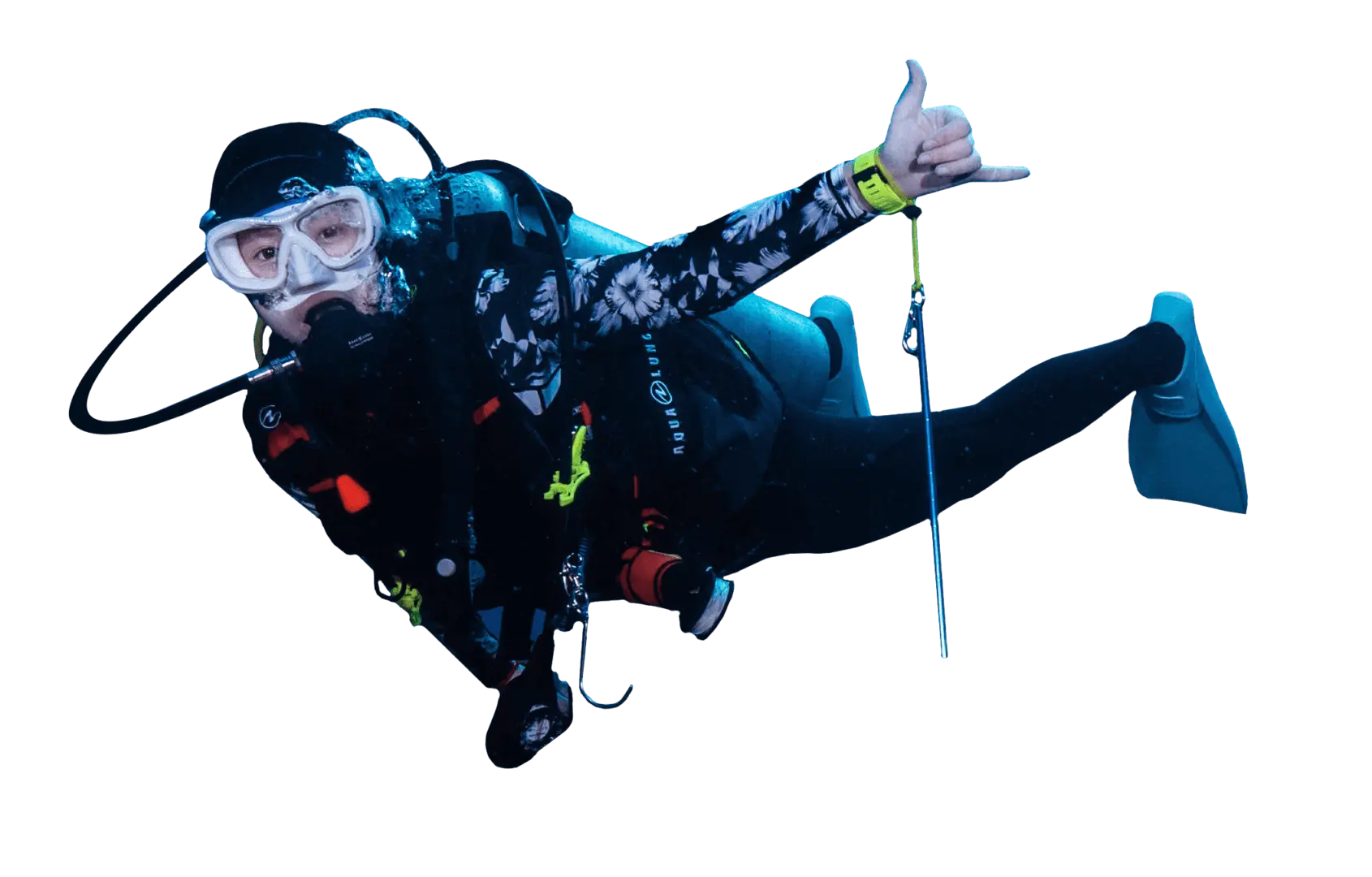 Frequently Asked Questions 1 Frequently Asked Questions diver