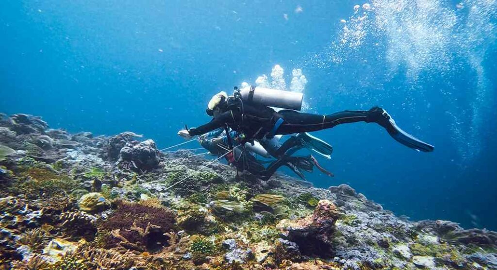 Raja Ampat Liveaboard vs Komodo Liveaboard: A Comprehensive Comparison 13 Screenshot 2023 07 07 at 17 compressed