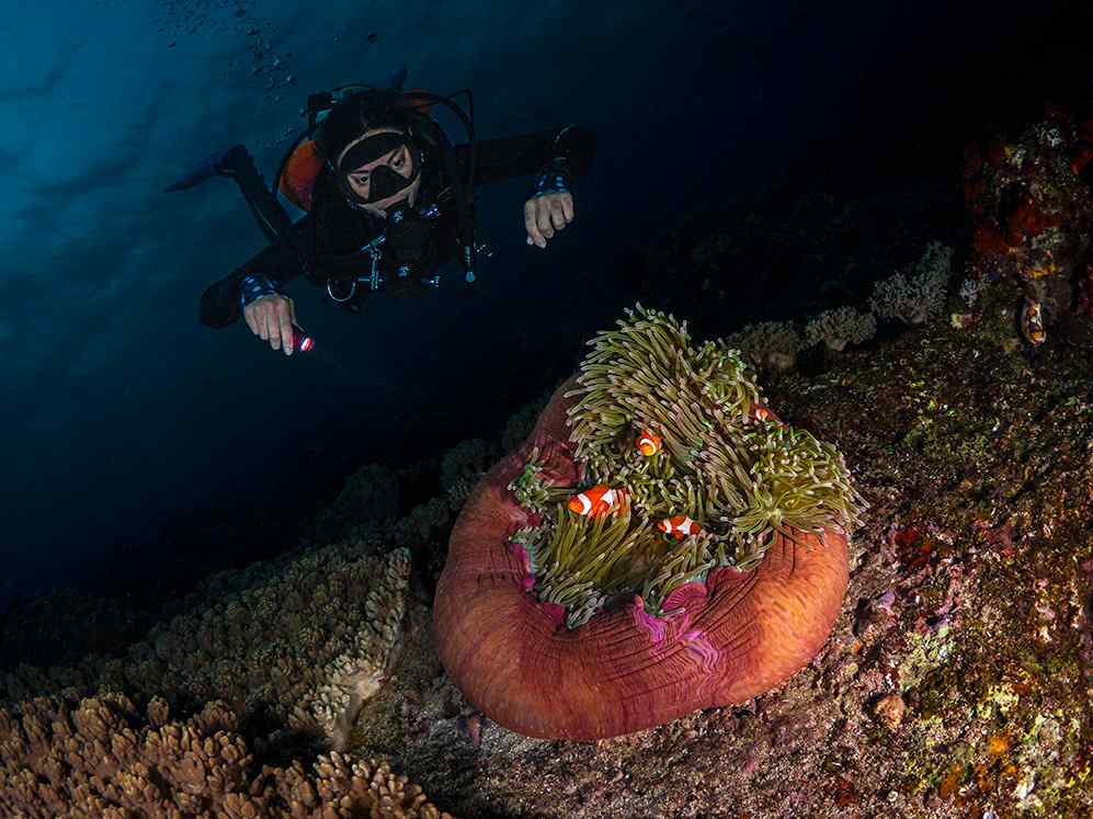 What is Deep Sea Diving: Tips, Do's and Dont's 1 a scuba diver goes on a deep dive