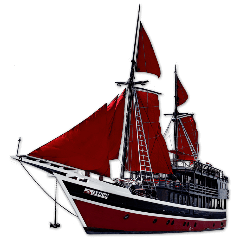 la galigo boat