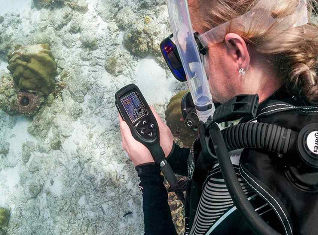 the diving - dive computer being check