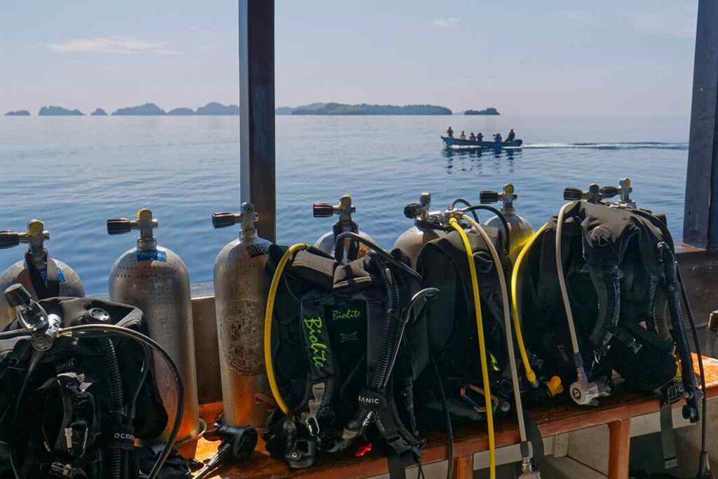 the diving equipment 1