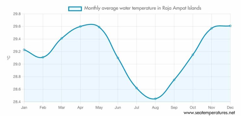 Plan the Ultimate Scuba Diving Trip in February or April: Choose Raja Ampat 5 water temp raja ampat1