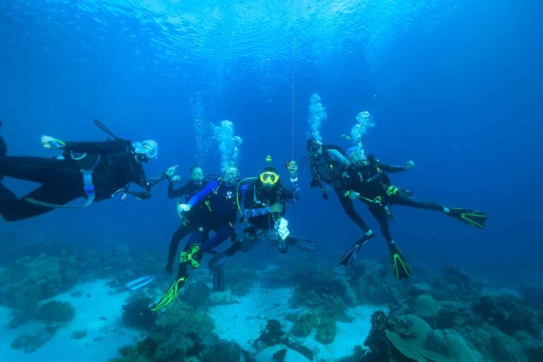 Snorkeling vs Scuba Diving: What’s the difference? 4 Snorkeling vs Scuba Diving diving group compressed