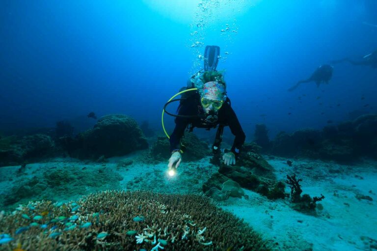Snorkeling vs Scuba Diving: What’s the difference? 3 Snorkeling vs Scuba Diving find critter scuba diving compressed