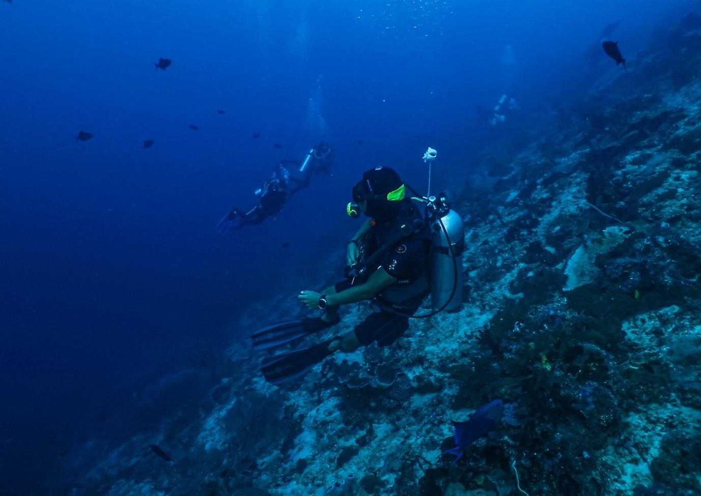 Cape Kri - La Galigo Liveaboard