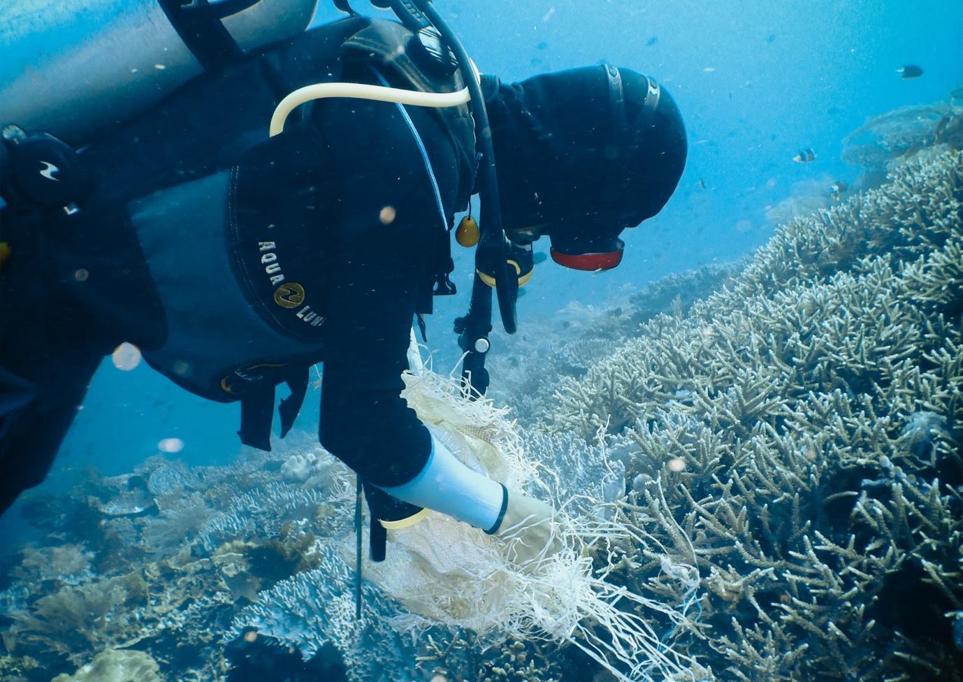 Encourage Conservation-Initiatives - La Galigo Liveaboard