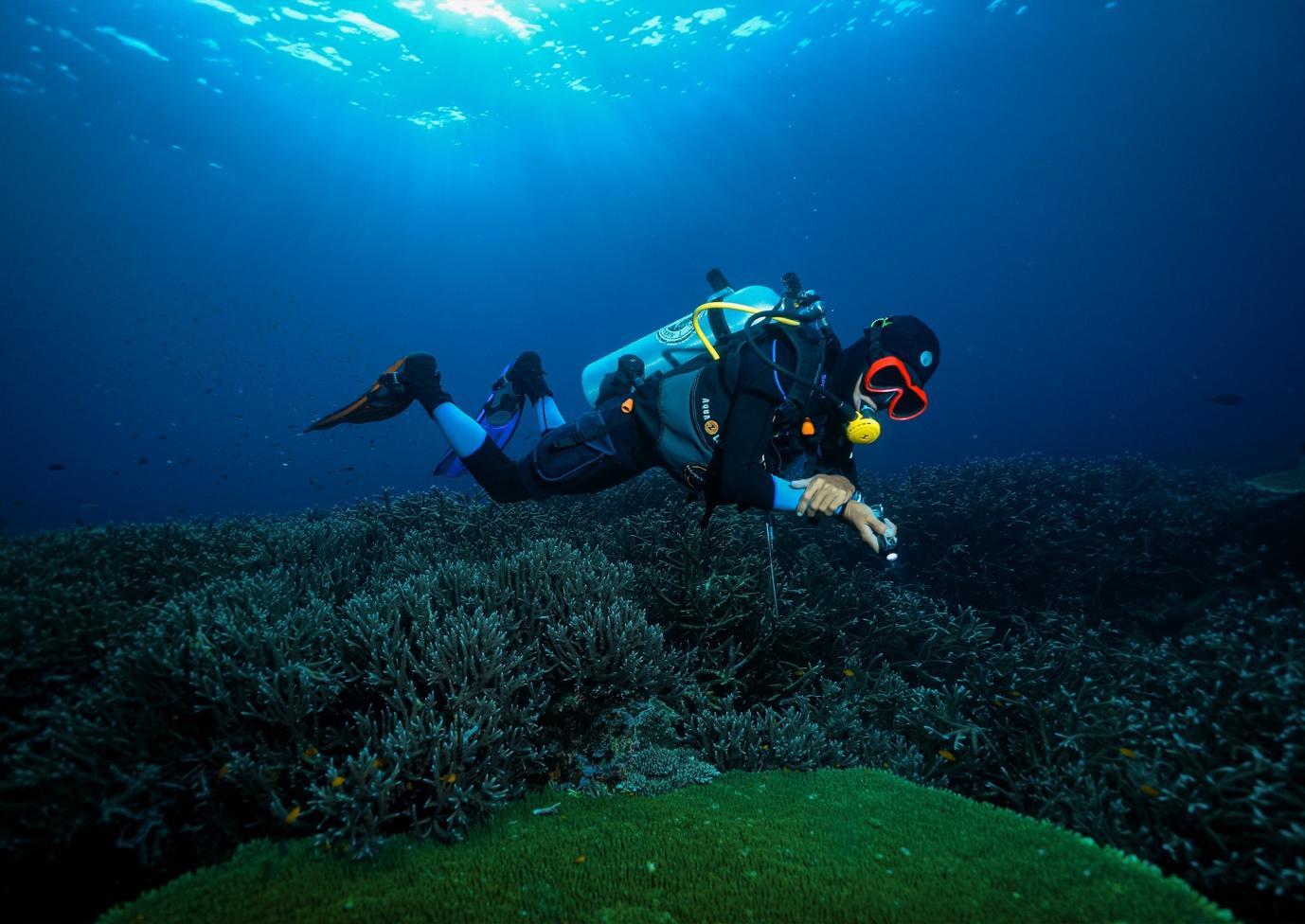 Scuba Diving in the Clear Waters of Raja Ampat - La Galigo Liveaboard