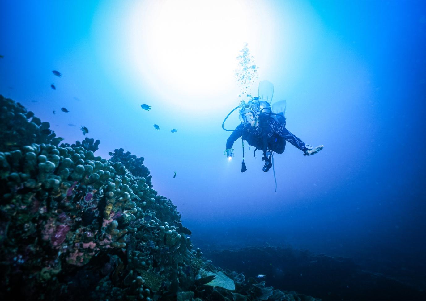 Variable Visibility - La Galigo Liveaboard