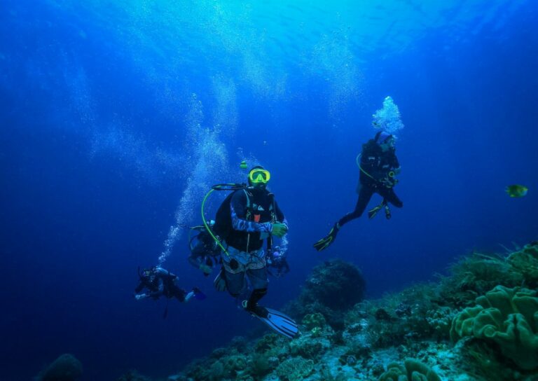 Best time to dive in Raja Ampat - La Galigo Liveaboard