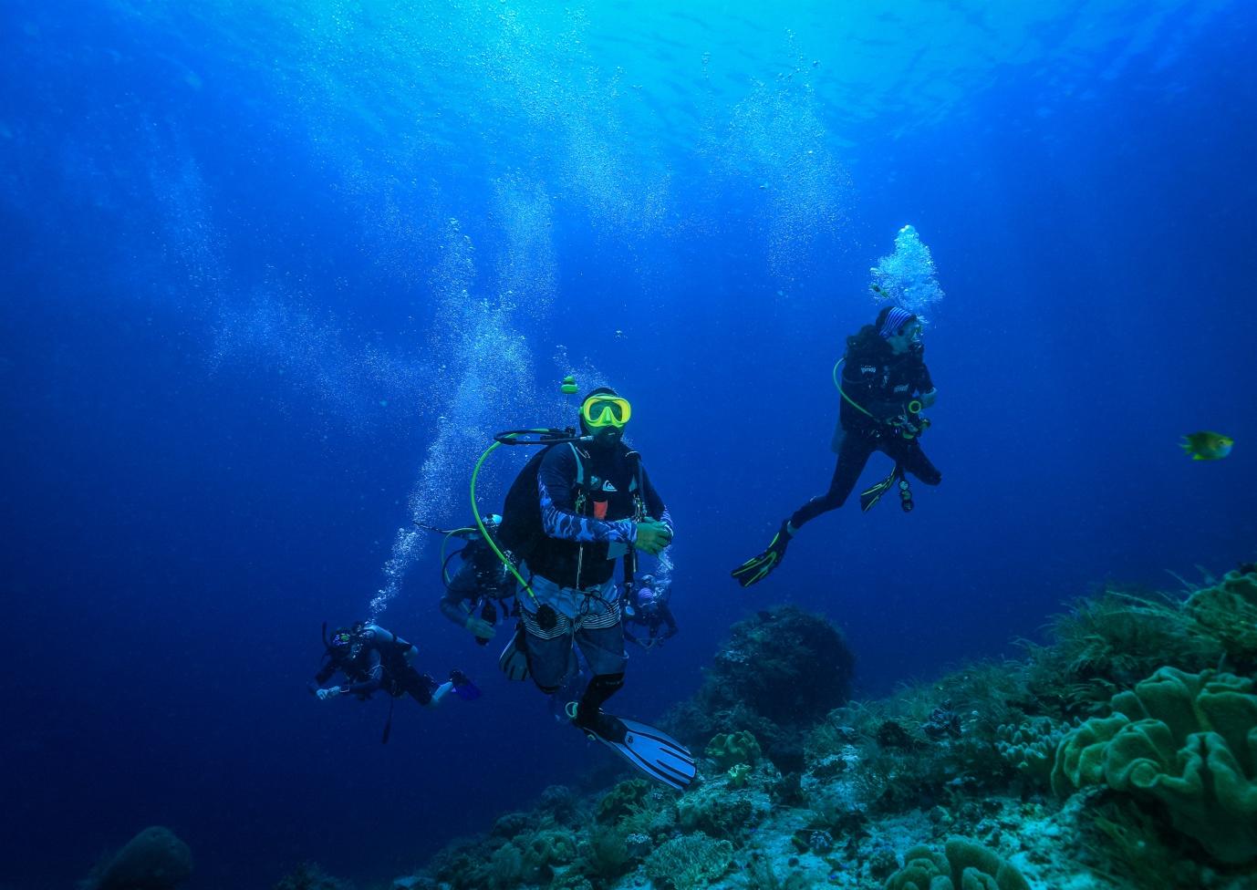 Best time to dive in Raja Ampat - La Galigo Liveaboard