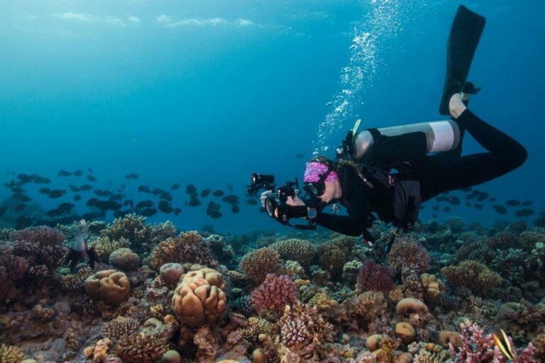 6 Underwater-Wide Angle Photography Techniques - La Galigo Liveaboard