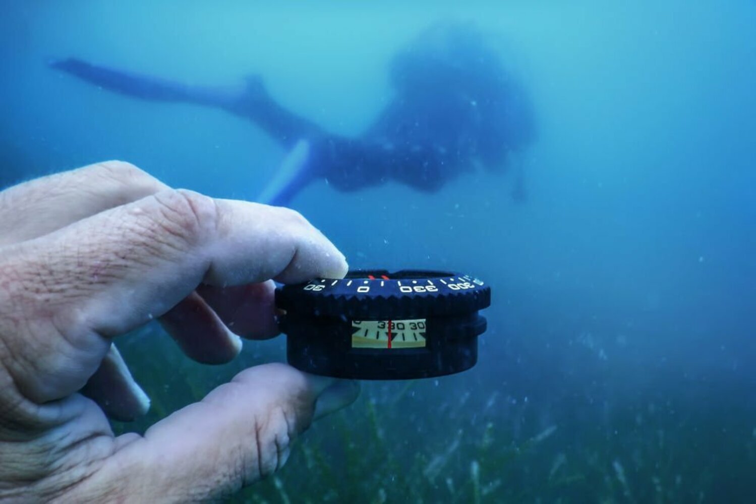 How to Use a Compass to Navigate Underwater​ - La Galigo Liveaboard