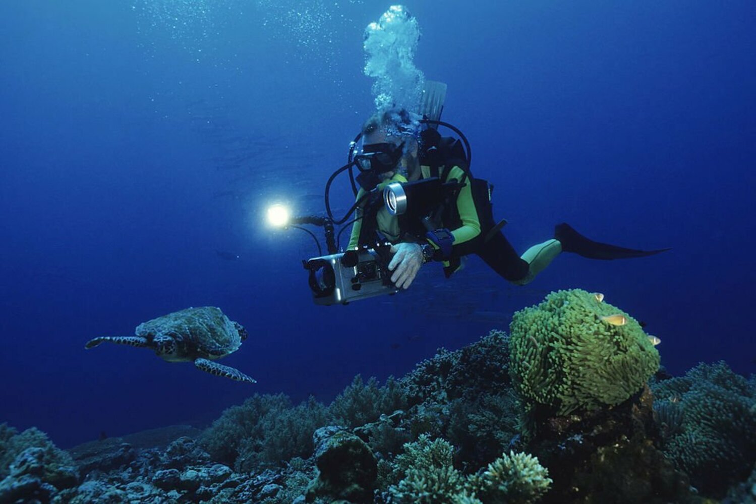 Best Underwater Camera 2024 - La Galigo Liveaboard