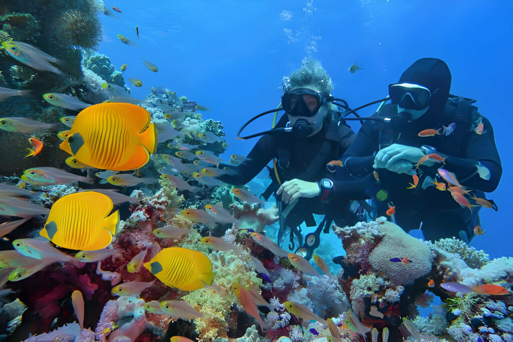 10 Tips to Become an Eco-Friendly Diver - La Galigo Liveaboard