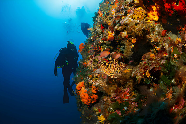 Scuba Diving Fear - La Galigo Liveaboard