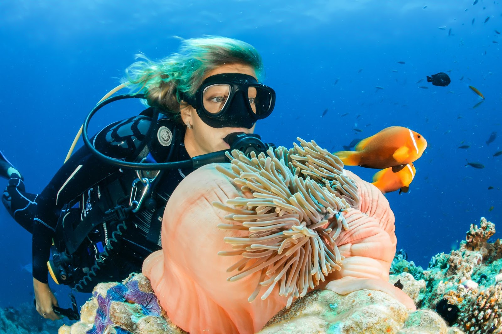 No touch, no harm - La Galigo Liveaboard