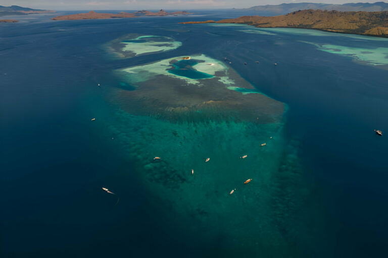 Best Spots in Komodo Island to Dive and Snorkel - La Galigo Liveaboard