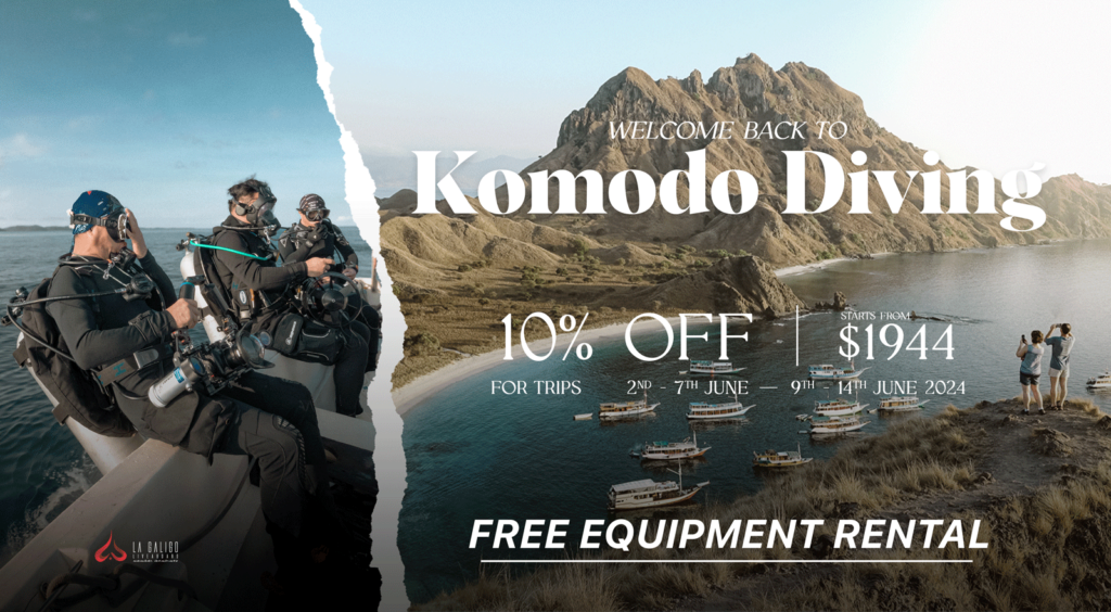 Komodo Diving June Offer - La Galigo Liveaboard