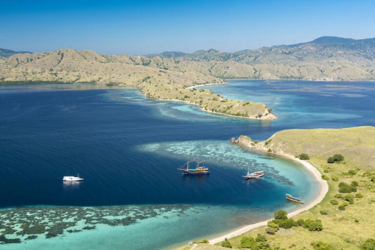 Ultimate Guide to Exploring Komodo Island - La Galigo Liveaboard