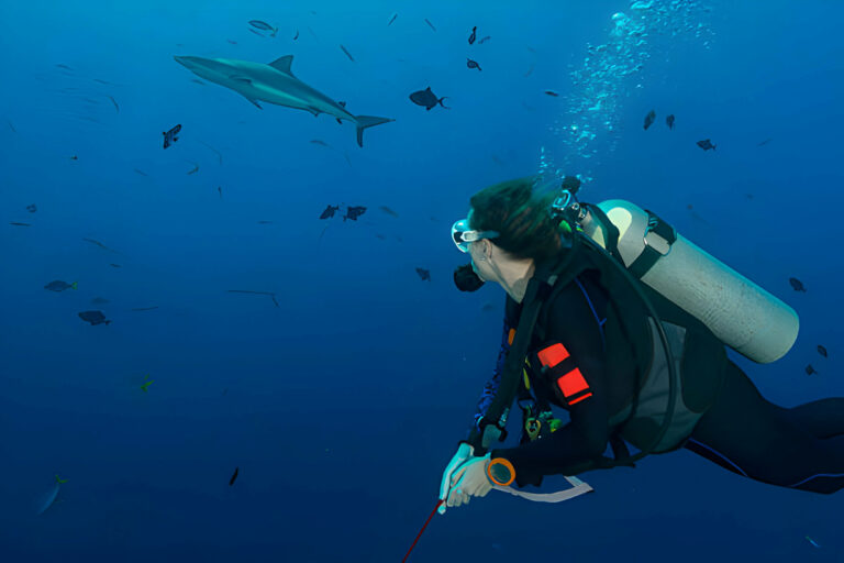 What Are Scuba Divers Really Afraid Of? - La Galigo Liveaboard