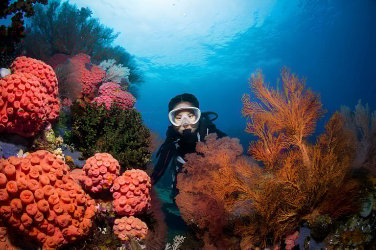 Ways to Explore Raja Ampat - Dive Centre vs Liveaboard - La Galigo Liveaboard