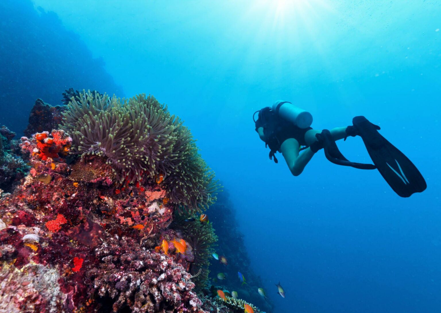 10-things-you-should-never-do-immediately-after-diving