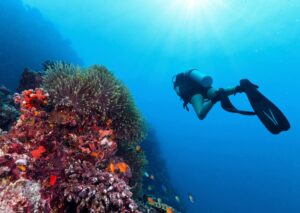 10 Things You Should Never Do Immediately After Diving - La Galigo Liveaboard