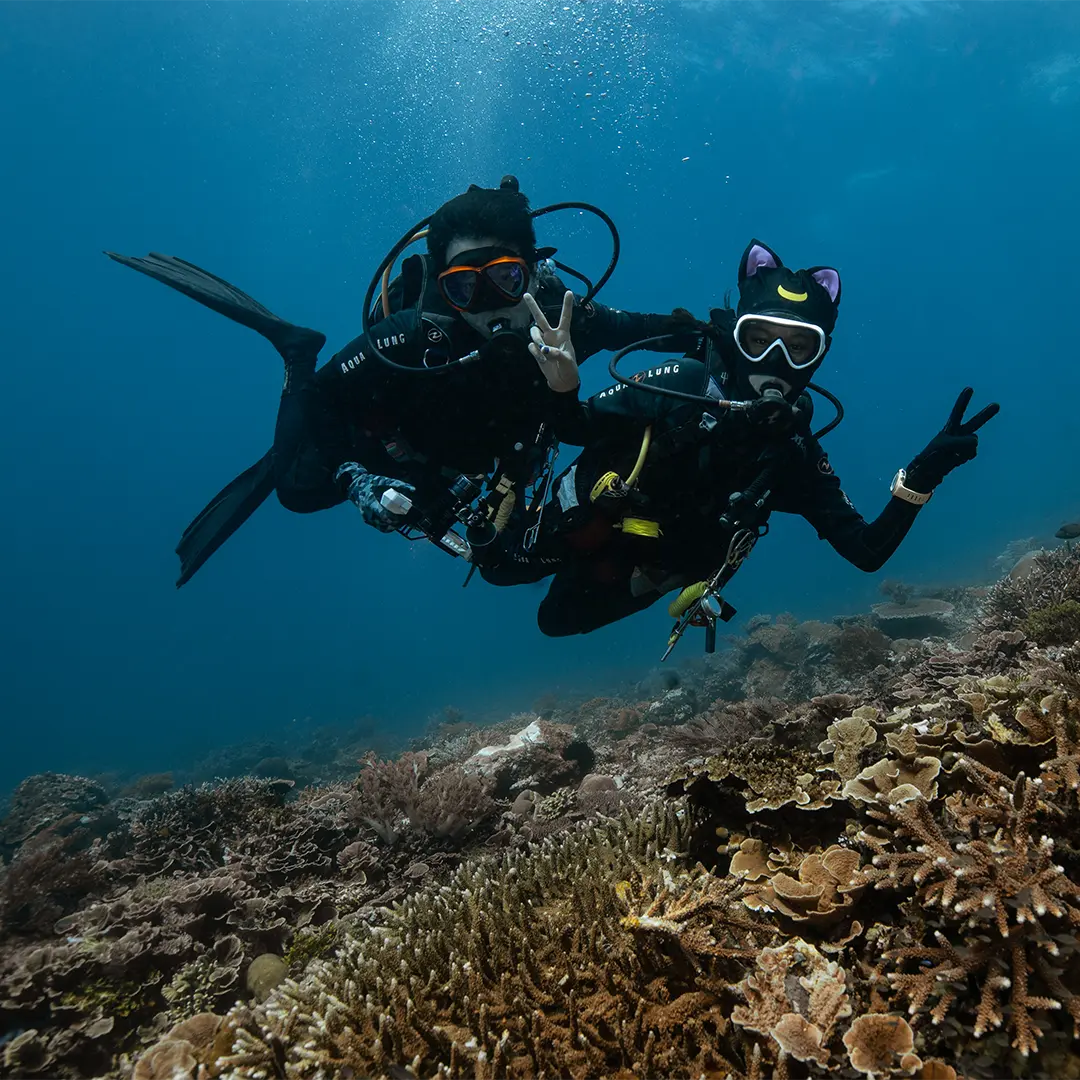 Indonesia Diving Season and Best Time to Dive in Komodo 3 best time to dive in komodo mobile