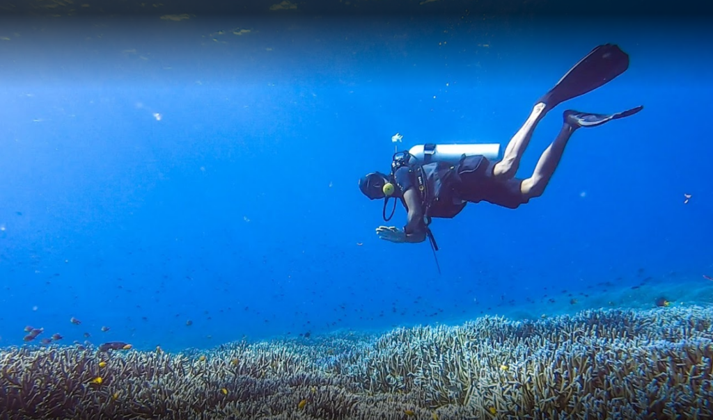 la galigo liveaboard review: customer diving experience in raja ampat