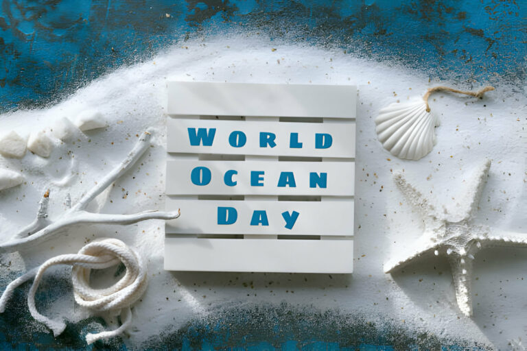 World Ocean Day - La Galigo Liveaboard