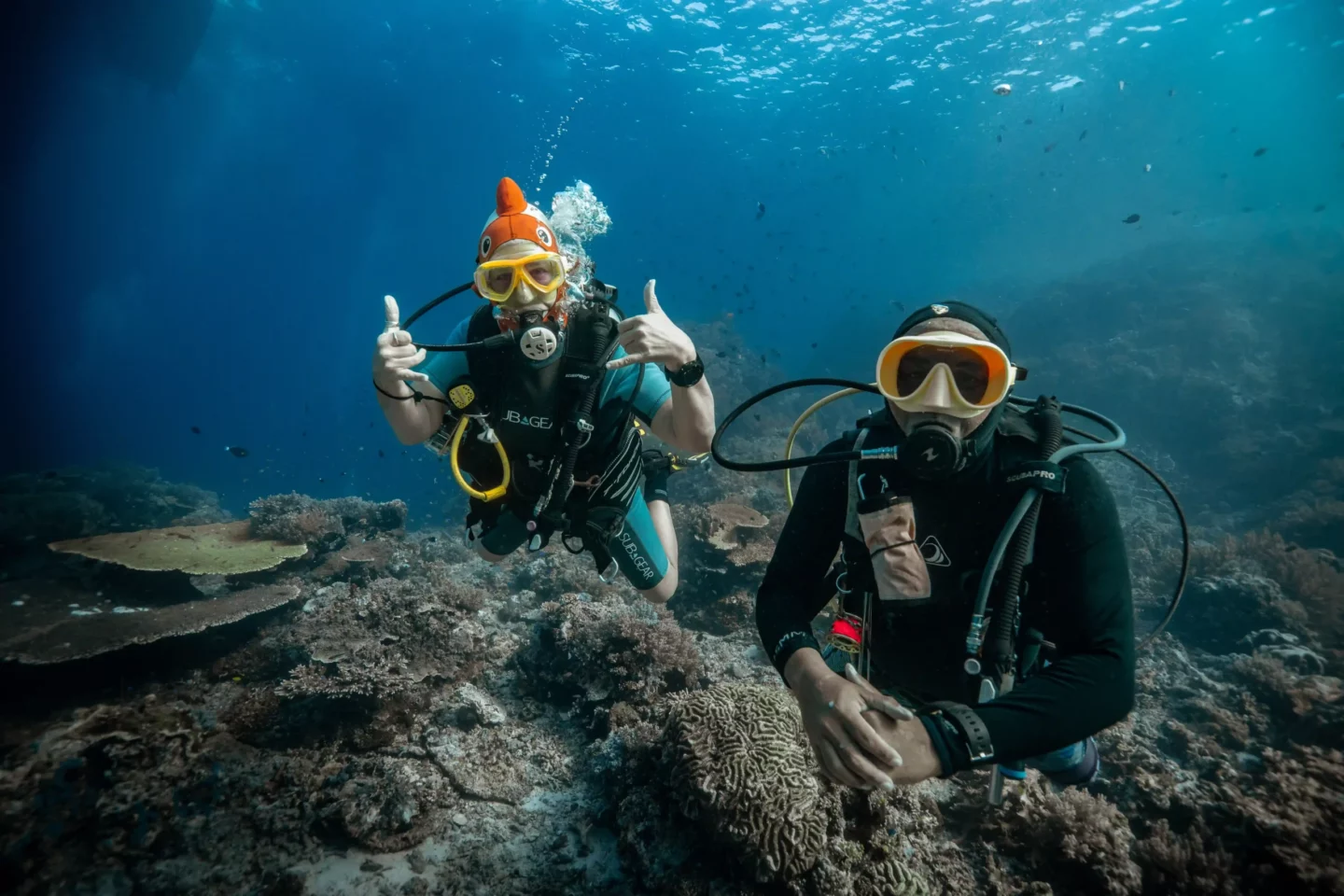two divers diving in Komodo