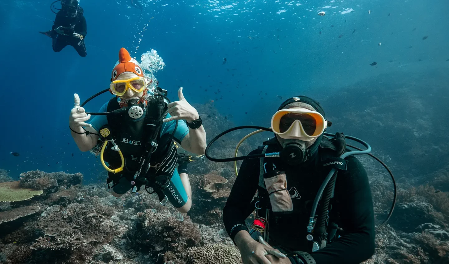 Top Activities To Do in Komodo Island: Dragons, Diving & Day Trips 3 diving fun