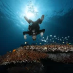 scuba diver posing above beautiful corals in the Cauldron Komodo National Park scaled 1