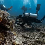 scuba diver taking macro photos in Mawan Komodo National Park 1