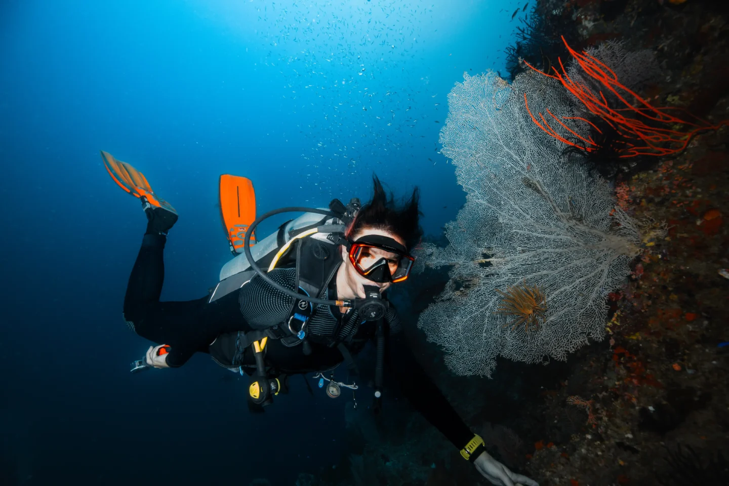 Boo West Dive Site, Raja Ampat – La Galigo