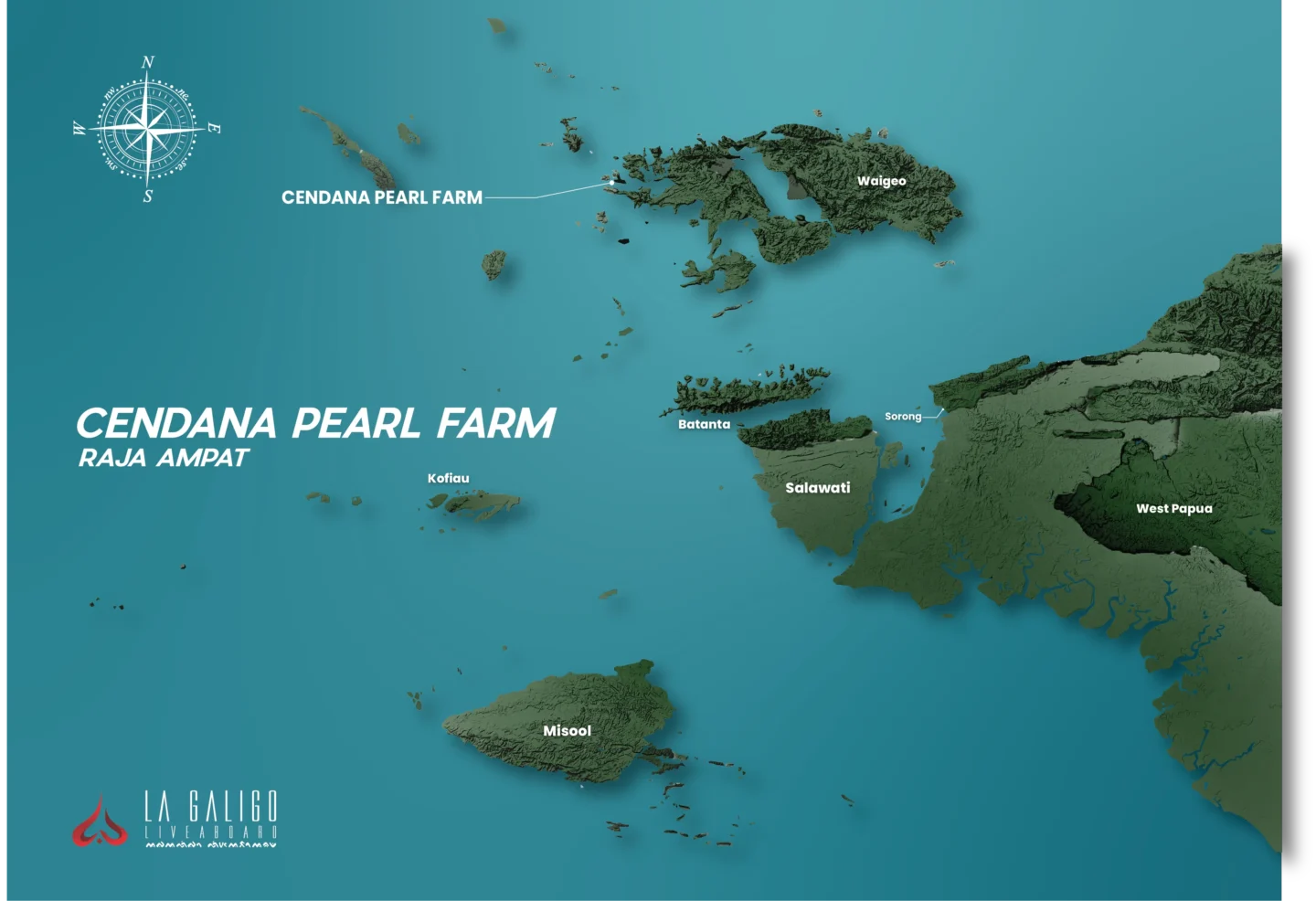 Cendana pearl farm raja ampat