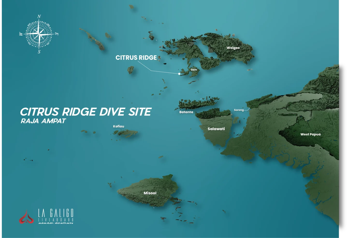 Citrus Ridge dive site raja ampat