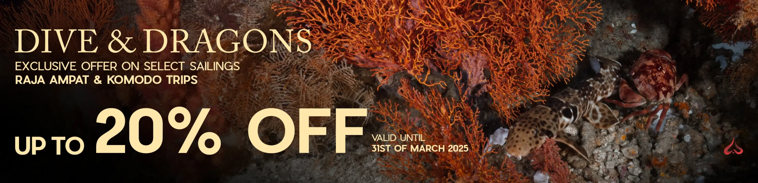 Dive and dragons special offer to Raja Ampat South - Misool for up to 20%