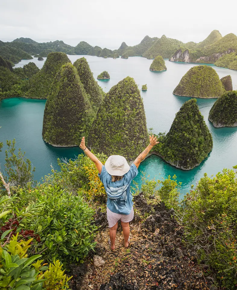 Breathtaking aerial view from the top of Piaynemo, Raja Ampat